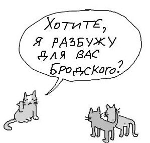 Рисунки бродского коты