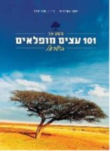 101 чудо-дерево Израиля